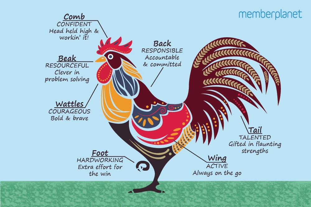 Chinese New Year Rooster Infographic